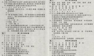五年级上册语文练习册答案